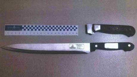 Detenidos dos argelinos en Son Gotleu (Mallorca) tras robar un patinete eléctrico a una joven y herir a sus amigos con cuchillos - octubre 2024