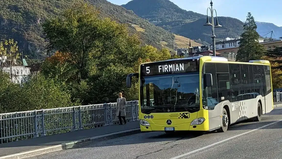 Un inmigrante paquistaní arrastra detrás de un arbusto a una colegiala de 14 años en Italia y la viola mientras esperaba el autobús