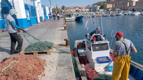 Restricciones europeas asfixian a la pesca de arrastre murciana mientras el pescado de Argelia y Marruecos inunda el mercado - diciembre 2024