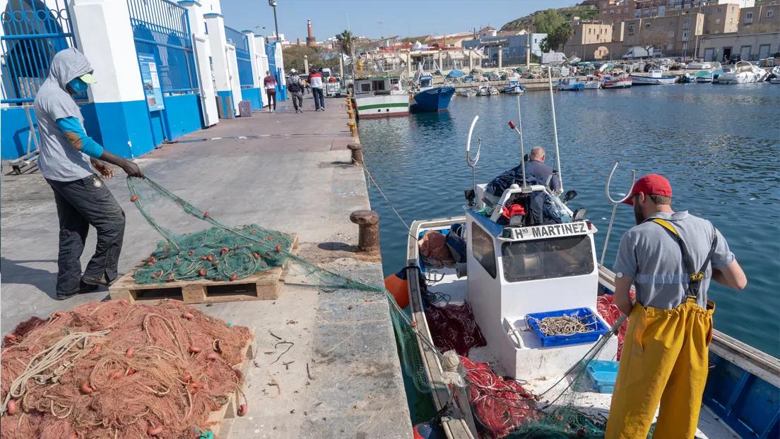 Restricciones europeas asfixian a la pesca de arrastre murciana mientras el pescado de Argelia y Marruecos inunda el mercado