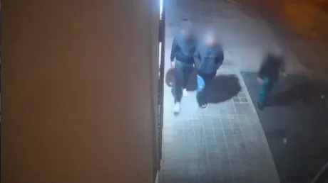 Detenidos dos marroquíes por asesinar a un magrebí que intentó robarle a uno de ellos el patinete el día anterior en Níjar (Almería) - diciembre 2024