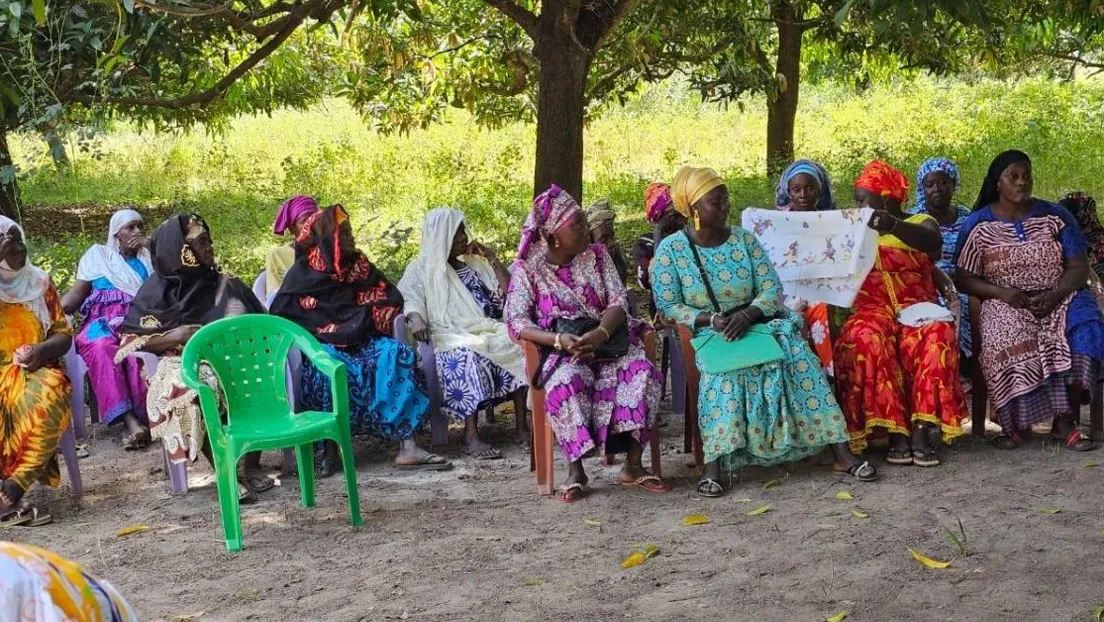 El Gobierno de Baleares destina 492.000 euros a proyectos agrícolas para mujeres agricultoras en Senegal