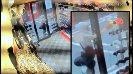 Un argelino con 31 antecedentes desde 2024 roba en cuatro comercios en Pamplona en tres horas: «No me va a pasar nada, seguiré robando» - febrero 2025