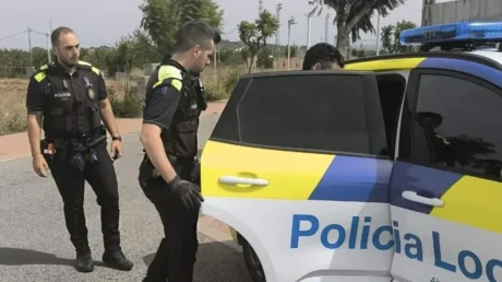 Detenido un magrebí por violar a ponis, asnos y ovejas en Roda de Bará (Tarragona): una oveja ha fallecido - febrero 2025