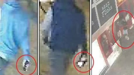 Se confirma que los cuatro marroquíes sospechosos de asesinar al turista danés en Fuerteventura utilizaron una viga de hierro para asesinarlo - marzo 2025