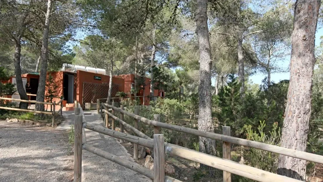 Polémica en Ibiza por 36 menas alojados en el campamento infantil de Cala Jondal debido a la escasez de alojamientos en la isla
