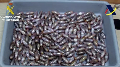 Detienen a una mujer marroquí con 2 kilos de bellotas de hachís en su estómago en el Aeropuerto de El Prat (Barcelona) - marzo 2025
