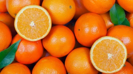 Malas noticias para agricultores españoles: Marruecos subvenciona con 38 millones de euros los cítricos con destino Europa - mayo 2025