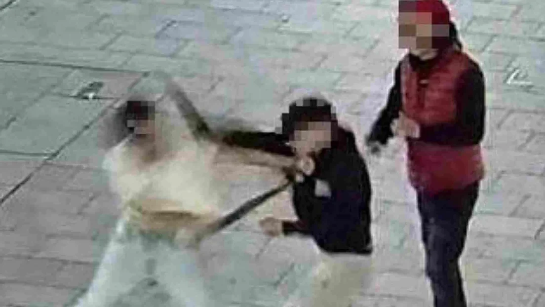Una salvaje pelea a palos entre marroquíes y argelinos desata el caos en el centro de Tudela (Navarra)