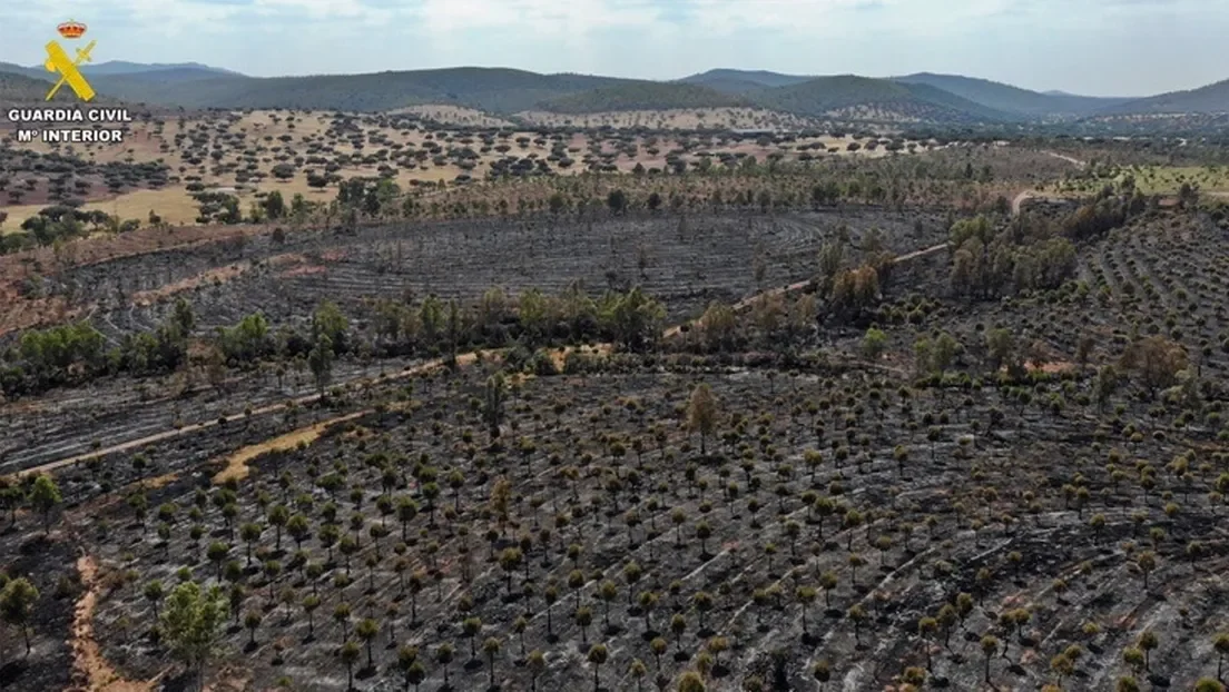 Cuatro marroquíes detenidos por causar un grave incendio forestal que arrasó 366 hectáreas en Sierra de Manchita (Badajoz)