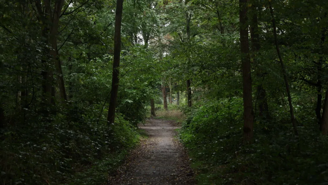 Detenido un violador en serie pakistaní tras agredir a un nuevo joven en un bosque de París