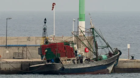 Deniegan asilo a 7 de los 14 marroquíes que llegaron a Lanzarote en un barco pesquero robado en aguas de África - junio 2025