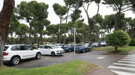 Atribuyen una oleada de robos a bandas de Europa del Este y a MENAS en los aparcamientos del Zoo y Parque de Atracciones de Madrid - junio 2025
